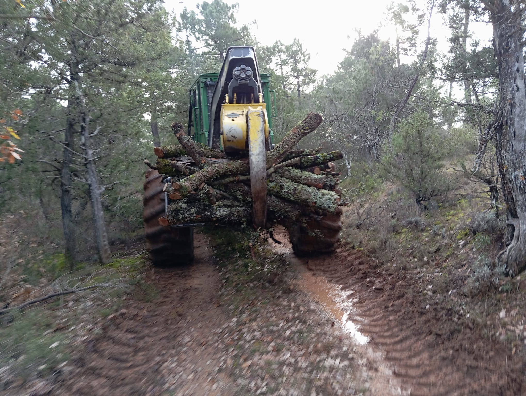 Compra y gestión montes