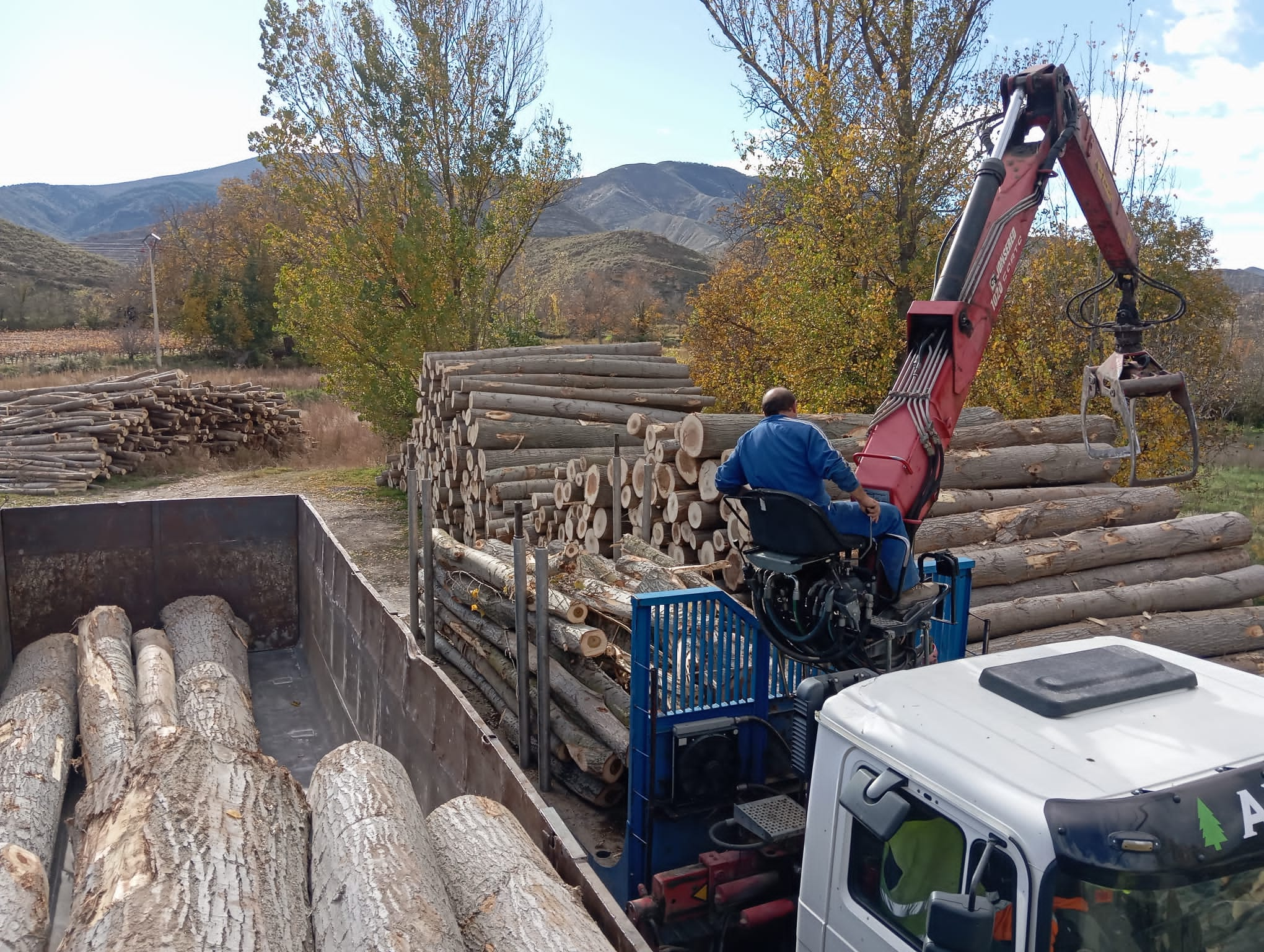 Explotación forestal de montes