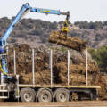 La venta de la madera en Soria se desploma y los ingresos caen un 50% hasta los 7,65 millones